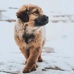 Максим Белов, 22.06.2001, Санкт-Петербург