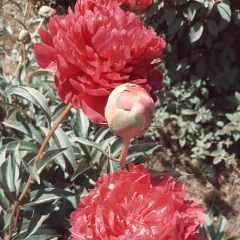 Екатерина Екатерина, 11.08, Москва