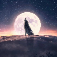 Di Nohchiev, Грозный