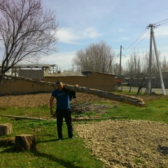 Бекнур Сиязов, 12.06.1985, Шымкент