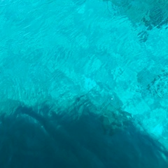 Николай Мурга, 04.01, Киев