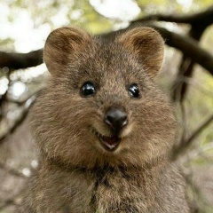 Машуля Семёнова, 07.12