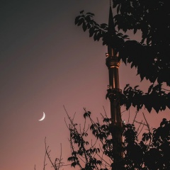 Yamlikhan Magamadov, 18.06, Грозный