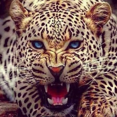 Тёма Степашов, 23.07.1989, Санкт-Петербург