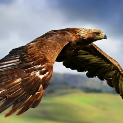 Бауыржан Нуров, 08.04, Алматы