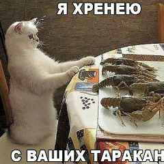 Артур Эдильгириев, Алматы