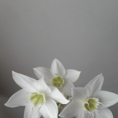 Луиза Хажиева, 02.12.1986, Екатеринбург