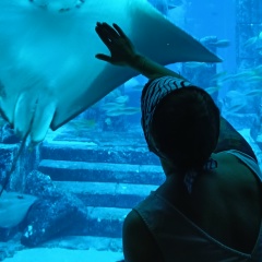 Мария Кленина, 28.09, Санкт-Петербург