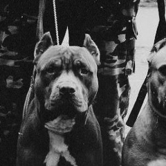 Zaur Bzs, 05.08, Москва