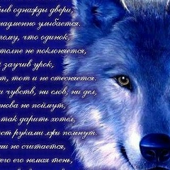 Самвел Авдоев, 05.08, Благовещенск