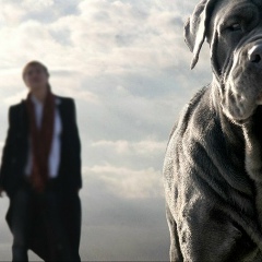 Иван Кувалдин, Ростов-на-Дону