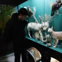 Козжан Молдабаева, 12.12.1990, Актау