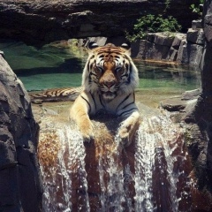 Азиз Минжасаров, 15.06.1998, Алматы