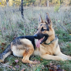 Наталия Мищенко, 07.09, Полтава