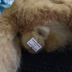 Коля Чумаков, Минск