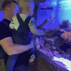 Дмитрий , 25.09, Москва