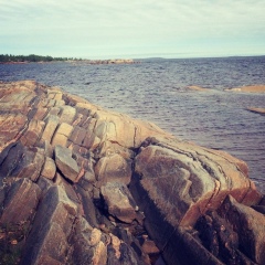 Павел Максимов, 29.01, Санкт-Петербург