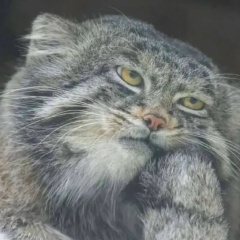 Евгений Терехов, 02.05.1977, Москва