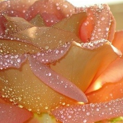 Петр Оплетин, 02.04.1984, Пермь