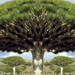 Абу Тальха, Москва