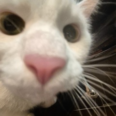 Сергей Александрович, 30.05.1982, Москва