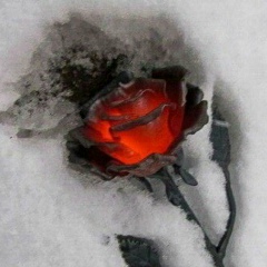 Жаннур Салкеева, 08.03.1981