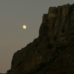 Tatiana Azaryan, 16.02, Москва