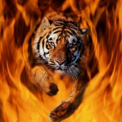 Илхам Маметов, 28.08.1974