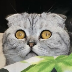 Сергей Сергеевич, 11.11.1987, Москва