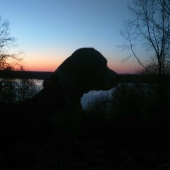 Серёжко Гусев, Чебоксары