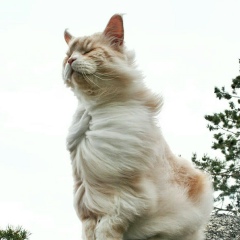 Артем Баталов, 21.08, Караганда