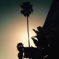 Илья Elaroyze, 15.10.1991, Los Angeles