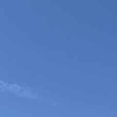 Badro Ely, 16.09, Алматы