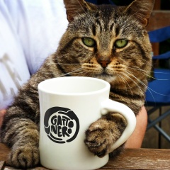 Мария Катюхина, 17.09, Тюмень