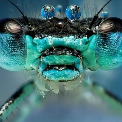 Амир Аккильдин, 01.03, Уфа