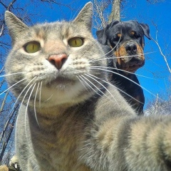 Петр Ушкин, Санкт-Петербург