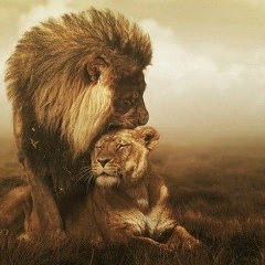 Марат Гапуров, 29.07.1988, Москва