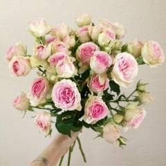 Нина Логинова, Выборг