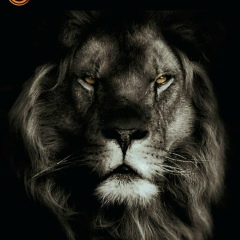 Дайыр Козуев, 01.11.1990