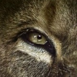 Ислам Абакаров, 12.01.1994, Элиста