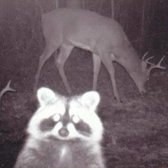 Сергей Непонятно, 19.05, Минск