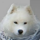 Игорь Сулацков, Ижевск