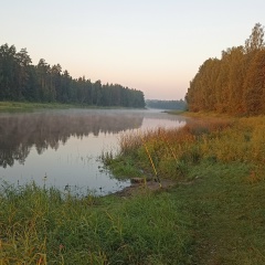 Николай Гусев, 10.08.1985, Лесное