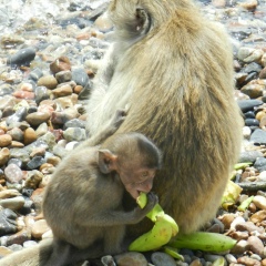 Юлия , 26.06, Пыть-Ях