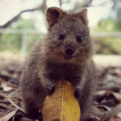 Константин Шим, 03.12, Москва