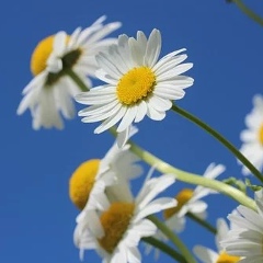 Тата Бакухина