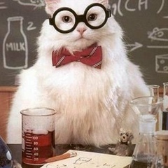 Александра Руссо, Москва