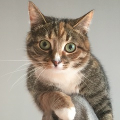 Андрей Спиридонов, 12.03, Иваново