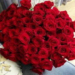 Nuli Nuli, Москва