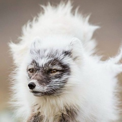 Екатерина Жильцова, 23.08, Москва